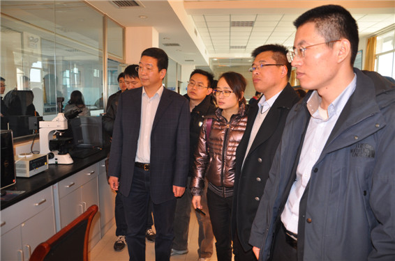 003 问鼎娱乐app(中国)官网下载入口