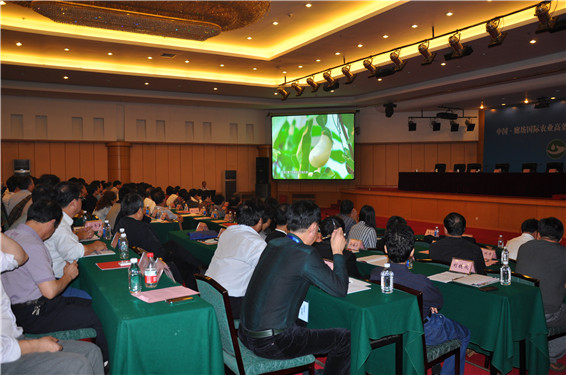 DSC_0431 问鼎娱乐app(中国)官网下载入口