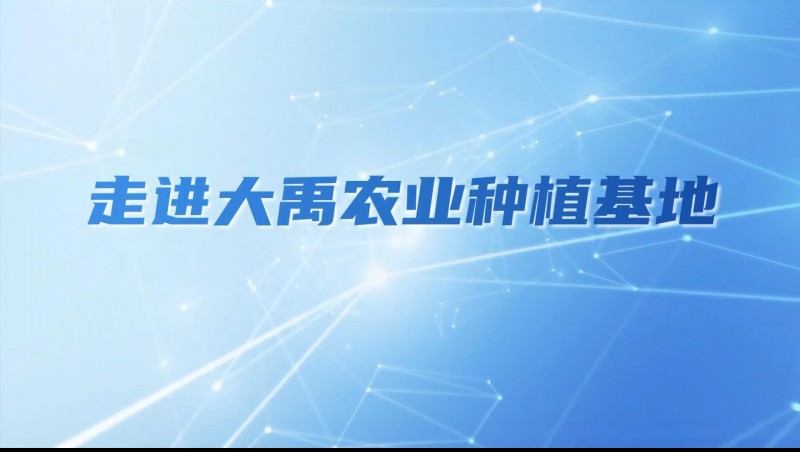 问鼎娱乐app农业| 多元化种植基地矩阵，索求农业现代化新蹊径