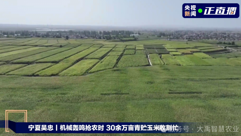  【媒体聚焦】问鼎娱乐app节水以智慧农业技术，为 30 万亩青贮玉米丰登 “添动力”